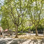 El Descanso De Las Salesas