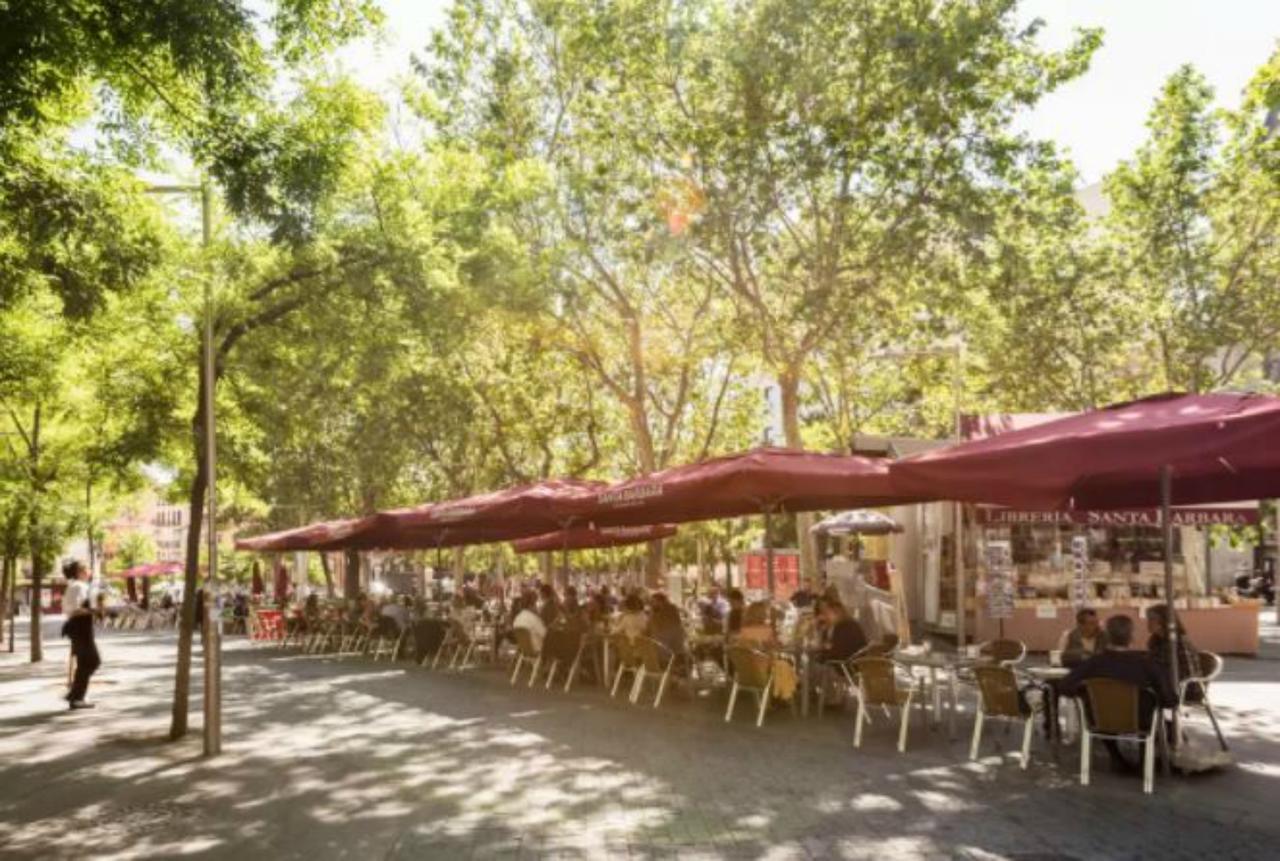El Descanso De Las Salesas Madrid