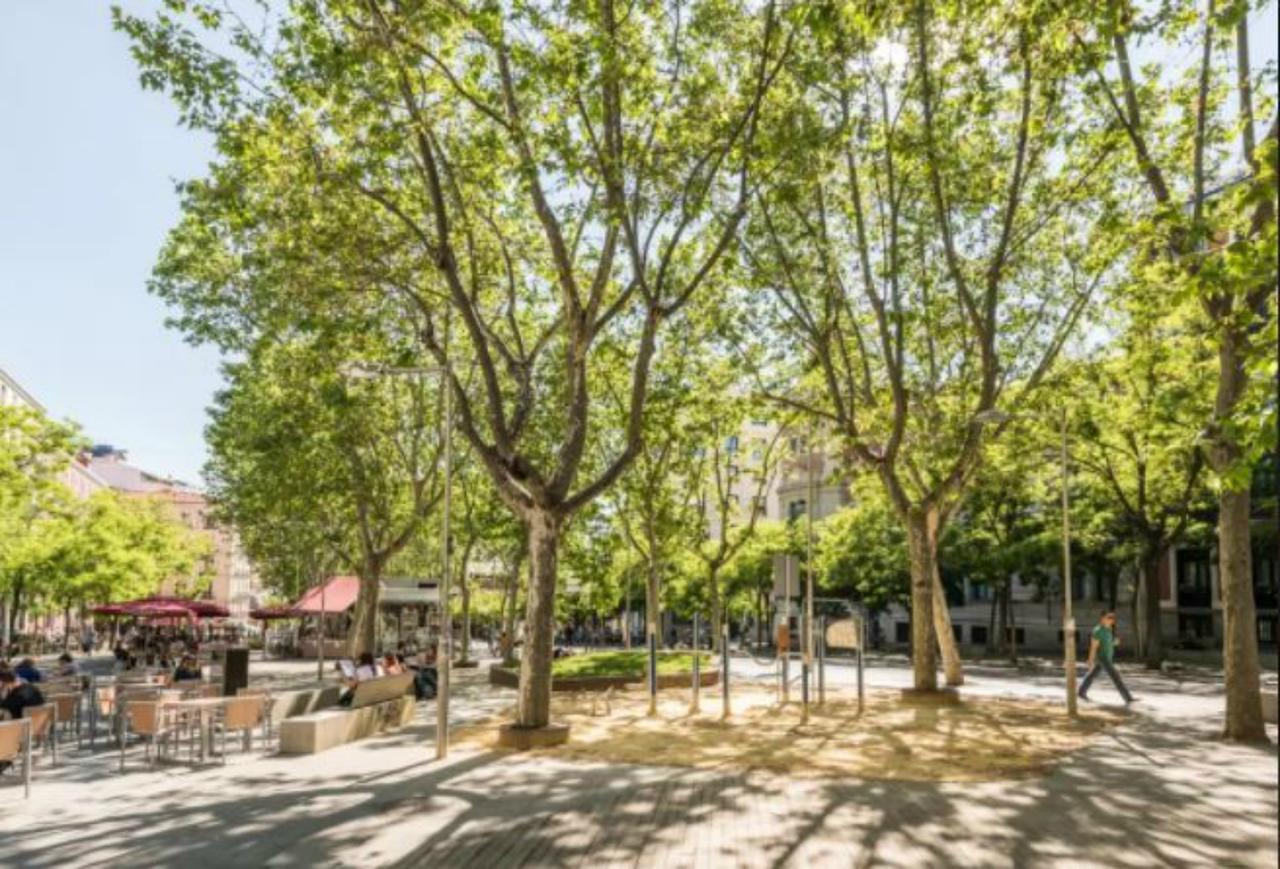 El Descanso De Las Salesas * Madrid